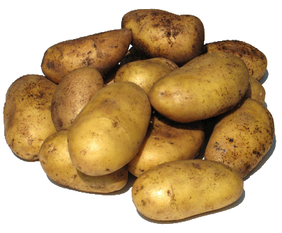 Papas