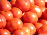 Tomates